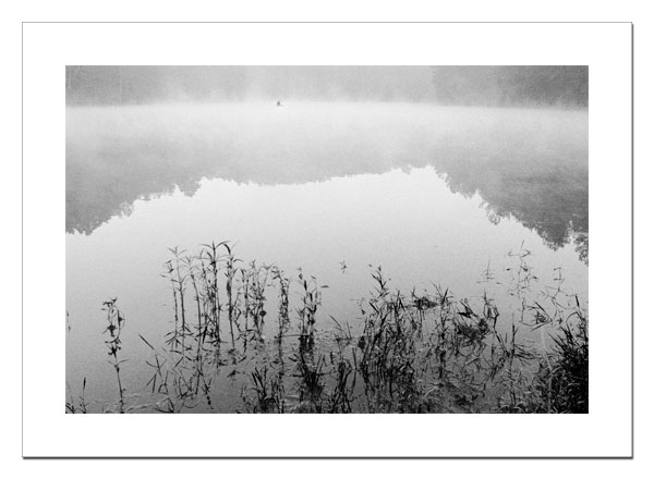 Lake in fog