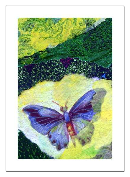 Butterfly 2