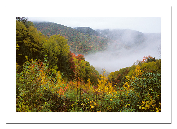 Autumn in the moutains