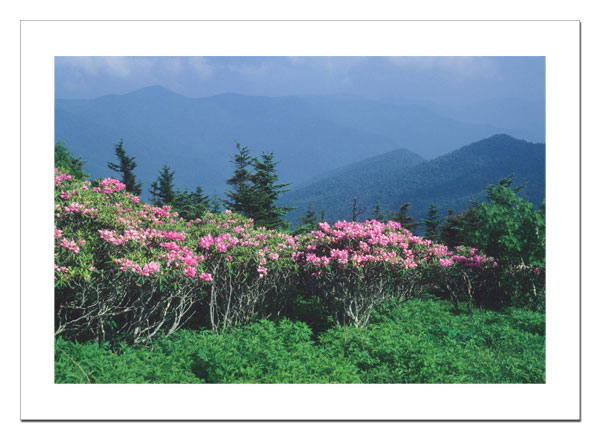 Mount Mitchell