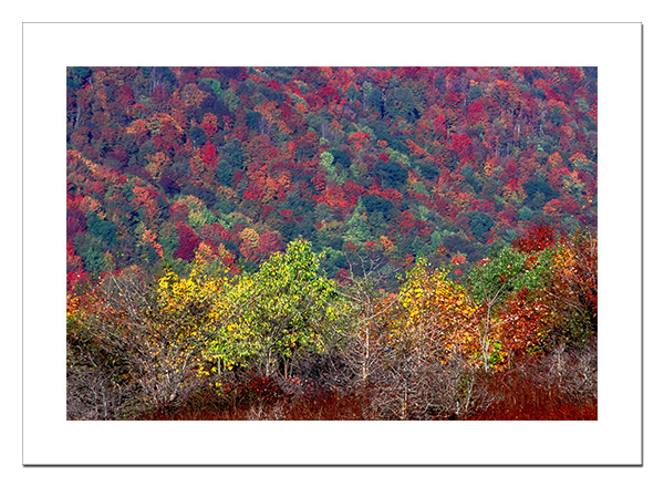 October in the Mountains