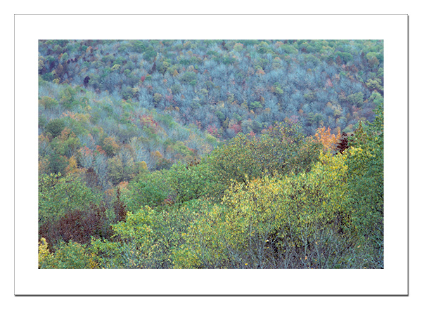 Mountains in springtime