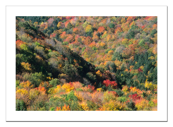 West Virginia in fall