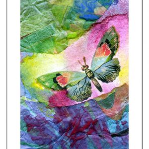 Butterfly art card 1